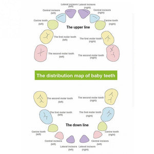 Lovely Girl /Boy Image Wooden Baby Teeth Box