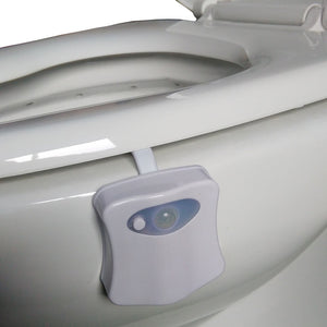 Motion Sensor Toilet Seat Night Light