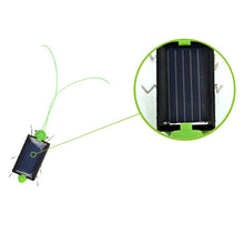 Load image into Gallery viewer, Solar Power Grasshopper