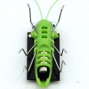Solar Power Grasshopper