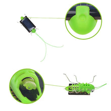 Load image into Gallery viewer, Solar Power Grasshopper